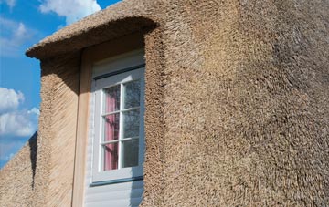 Tullibody thatch roof disadvantages